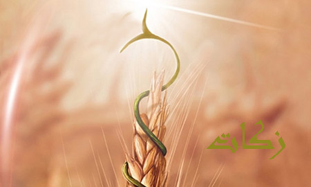 مردم نیکوکار ساوجبلاغ بیش از ۷۴۰ میلیون تومان زکات پرداخت کردند